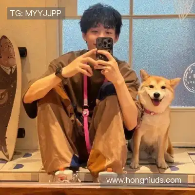 窦耿禹
